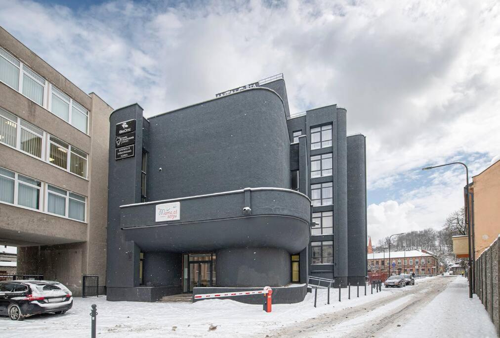 Lovely 1Bd Central Apartment By Hostlovers Kaunas Exterior photo